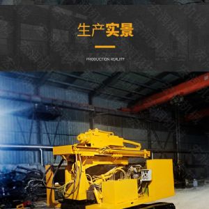 多功（gōng）能光伏電站打樁機,履帶光伏（fú）打樁（zhuāng）機現貨