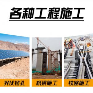 雙液壓雙馬（mǎ）達打樁機